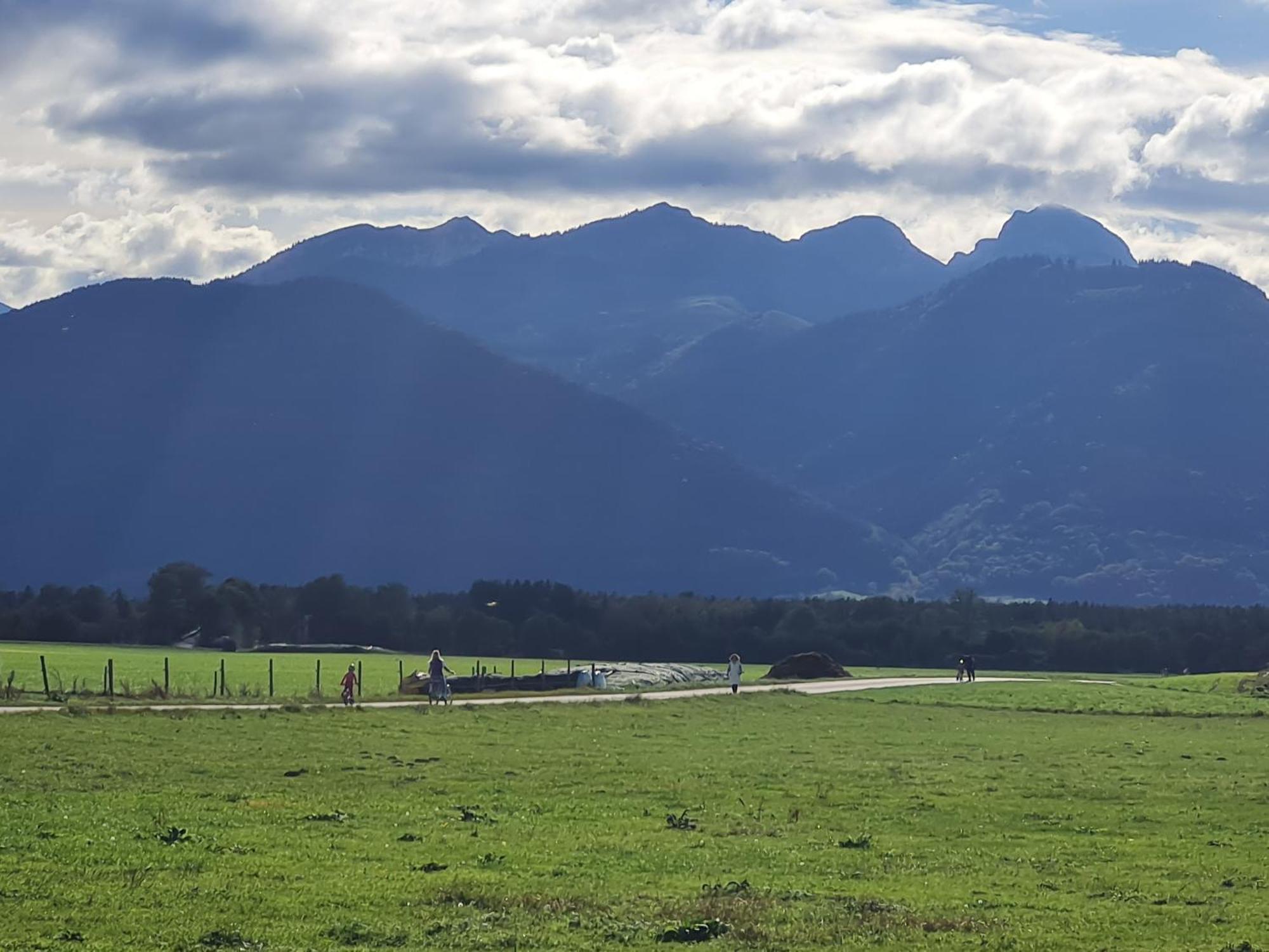 Alpenblick Pang *